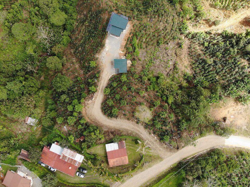 MODERN COUNTRY HOUSE WITH GUEST COTTAGE AMIDST A COFFEE PLANTATION