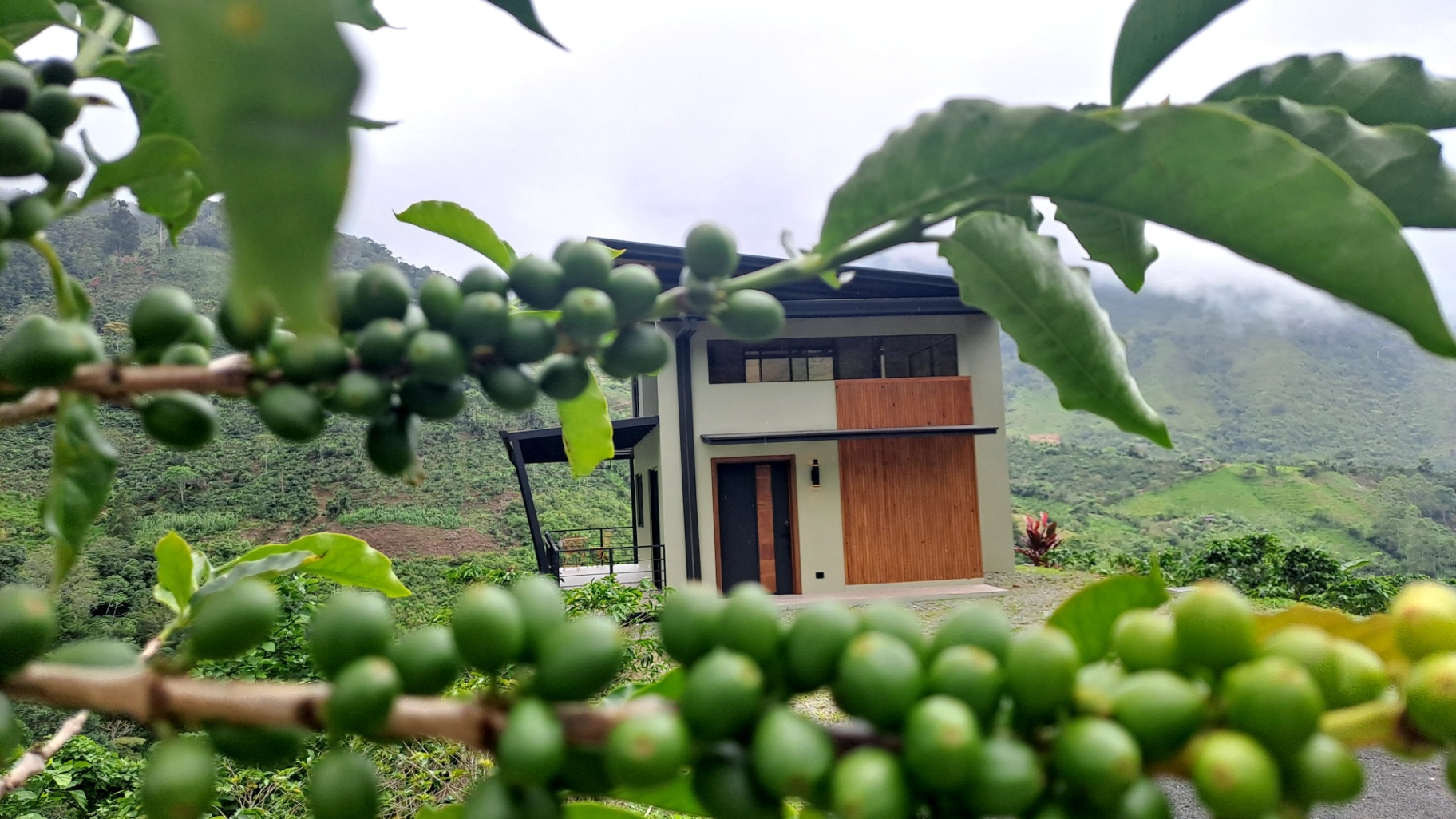 MODERN COUNTRY HOUSE WITH GUEST COTTAGE AMIDST A COFFEE PLANTATION