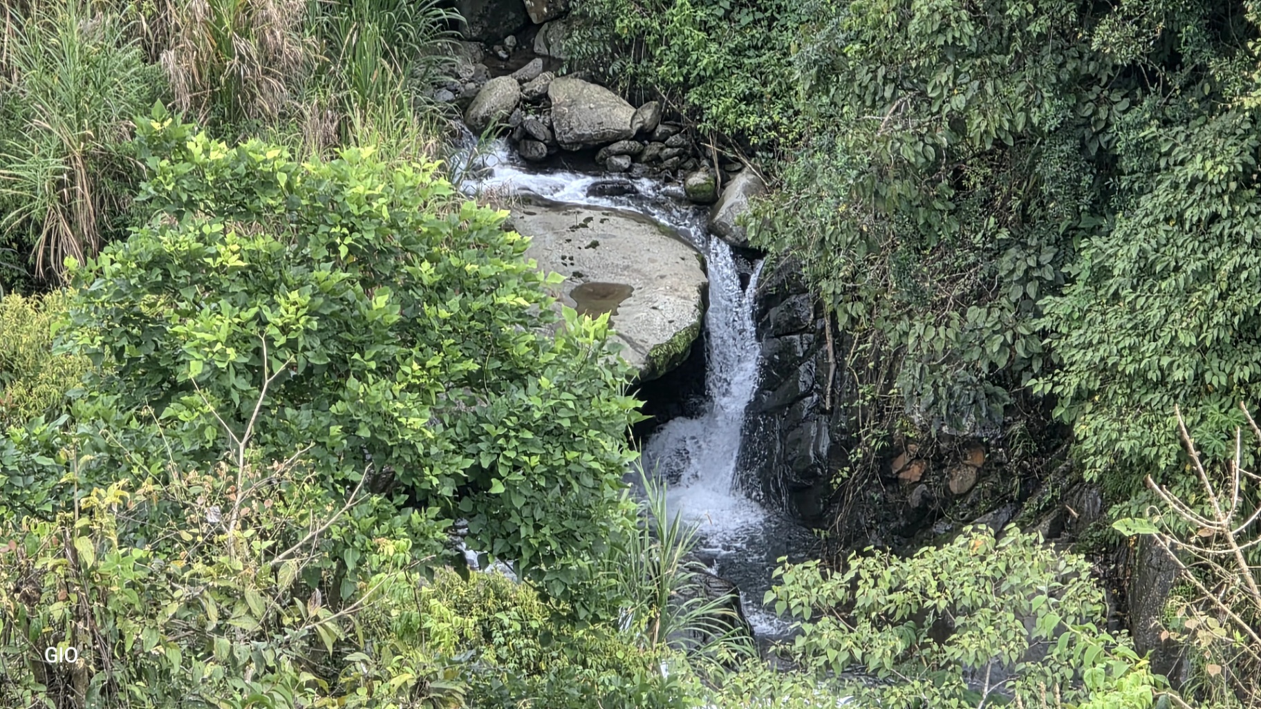 MODERN COUNTRY HOUSE WITH GUEST COTTAGE AMIDST A COFFEE PLANTATION