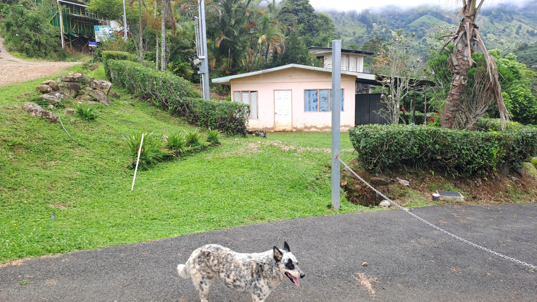 MODERN COUNTRY HOUSE WITH GUEST COTTAGE AMIDST A COFFEE PLANTATION