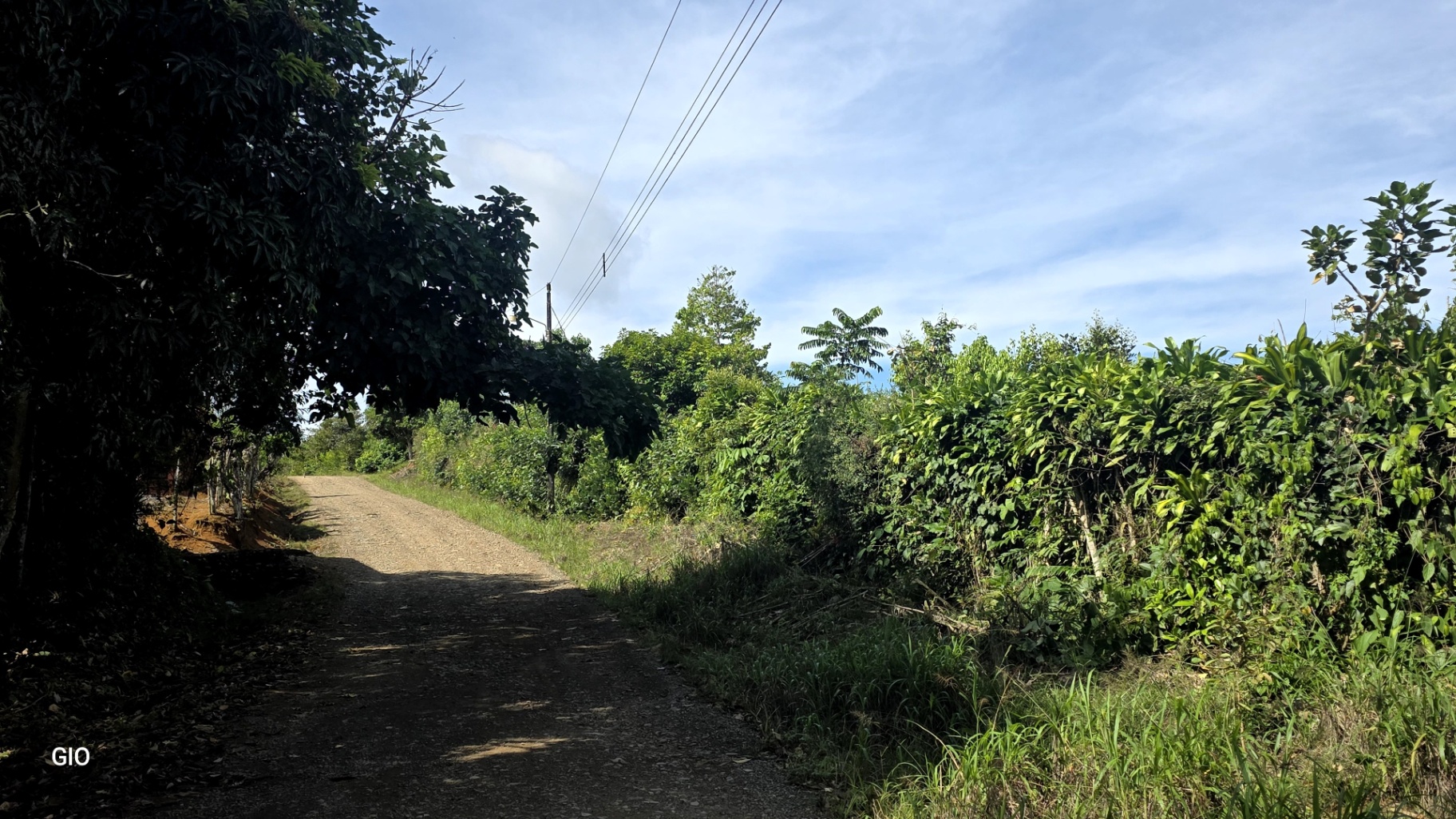 🌿 Nature, Privacy & Investment Opportunity in Costa Rica 🌿