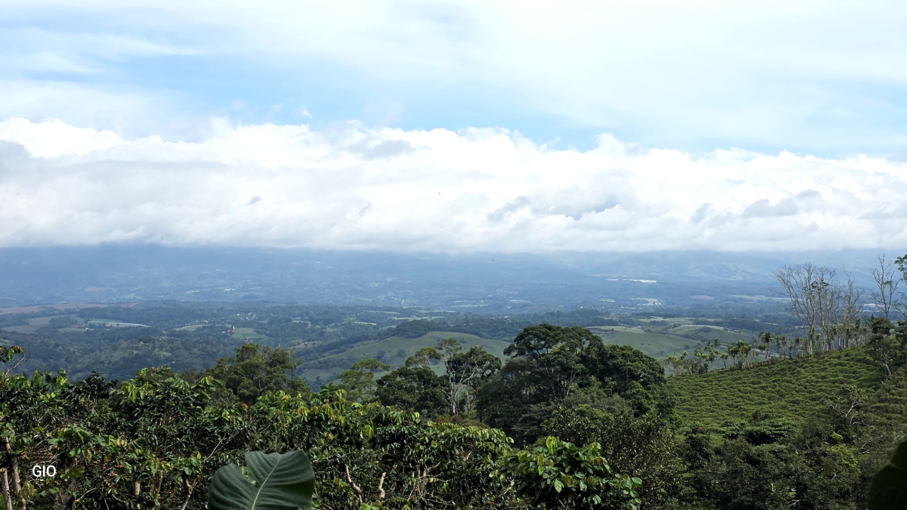 🌿 Nature, Privacy & Investment Opportunity in Costa Rica 🌿