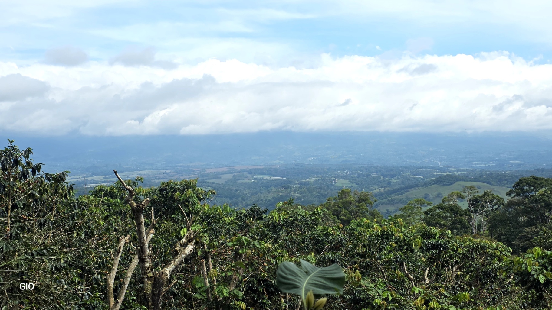 🌿 Nature, Privacy & Investment Opportunity in Costa Rica 🌿