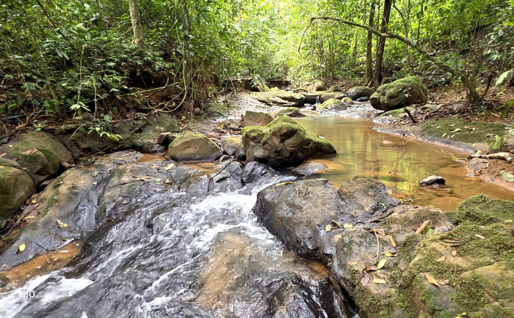 🌿 Nature, Privacy & Investment Opportunity in Costa Rica 🌿