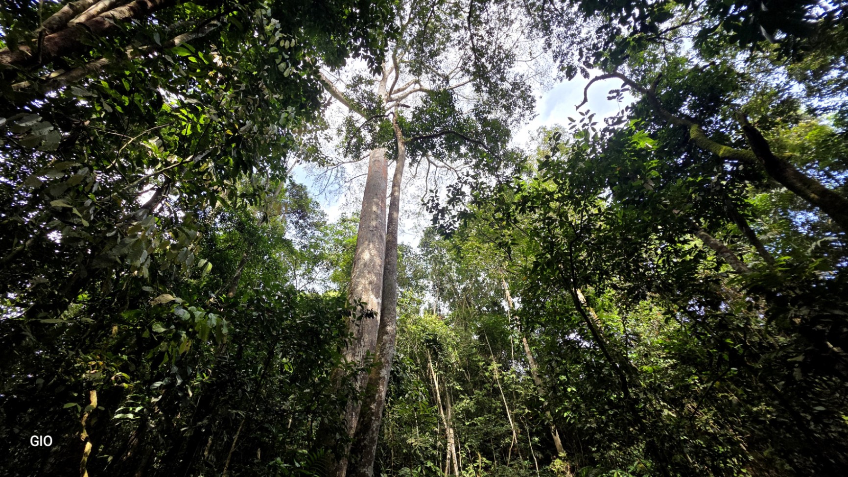 🌿 Nature, Privacy & Investment Opportunity in Costa Rica 🌿