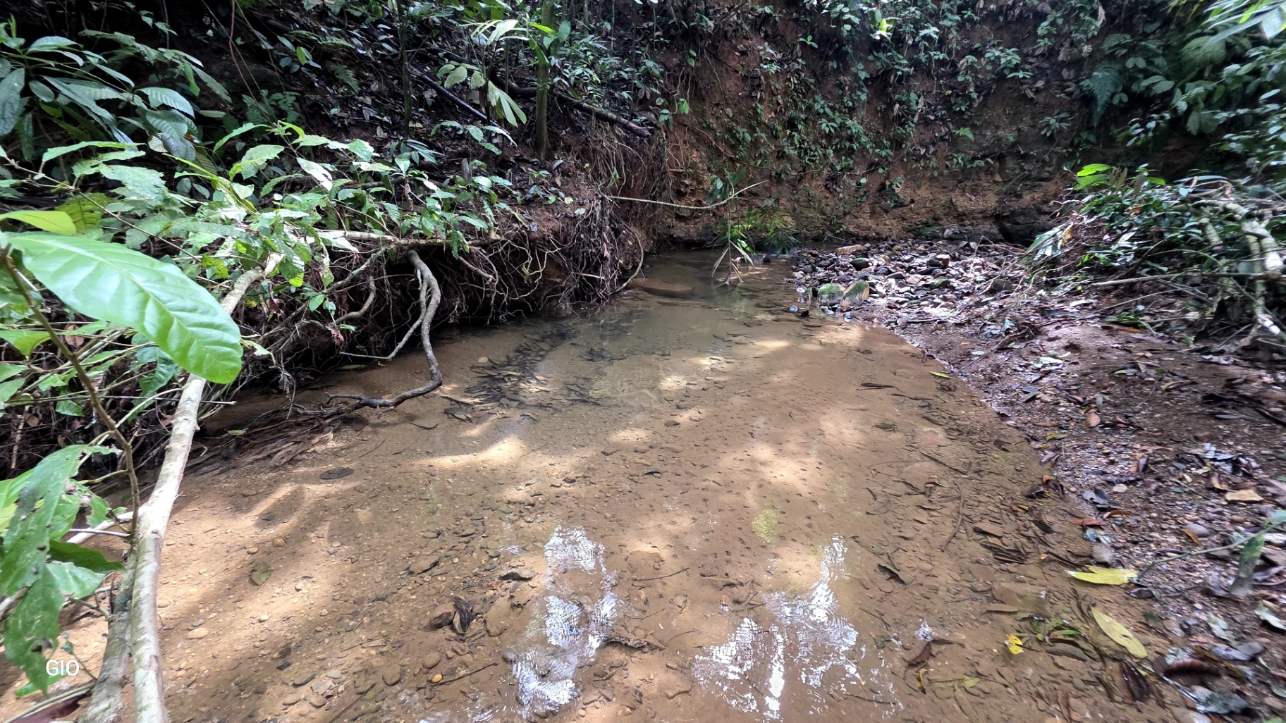 🌿 Nature, Privacy & Investment Opportunity in Costa Rica 🌿