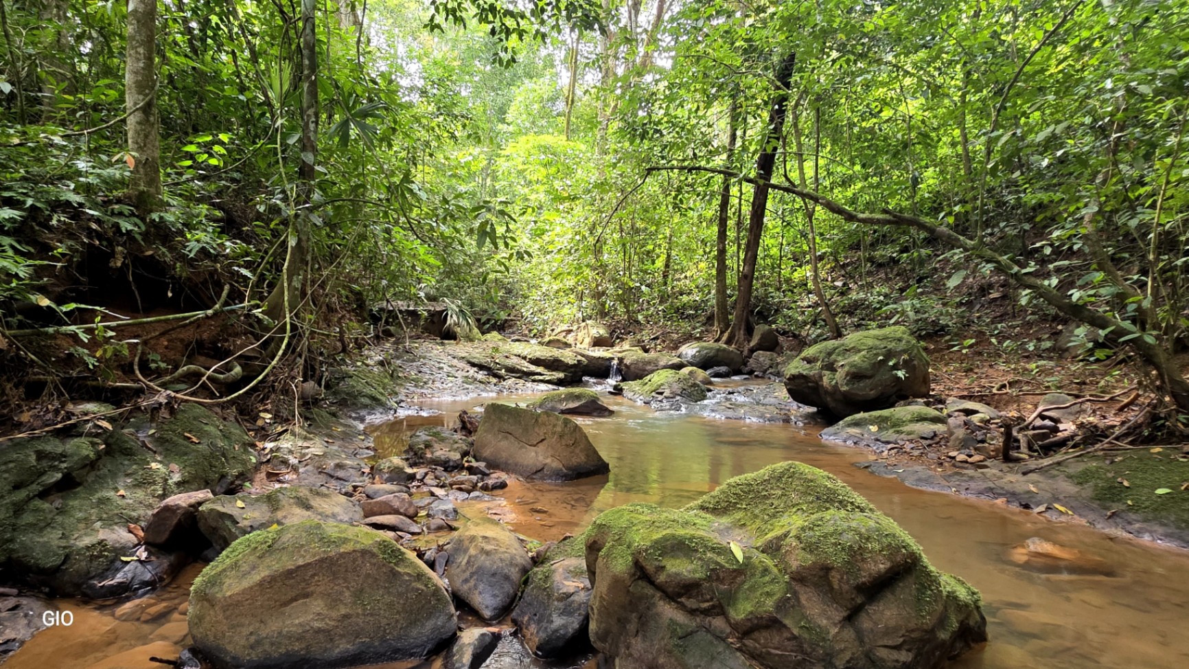 🌿 Nature, Privacy & Investment Opportunity in Costa Rica 🌿