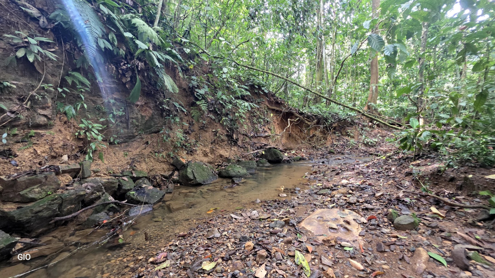 🌿 Nature, Privacy & Investment Opportunity in Costa Rica 🌿