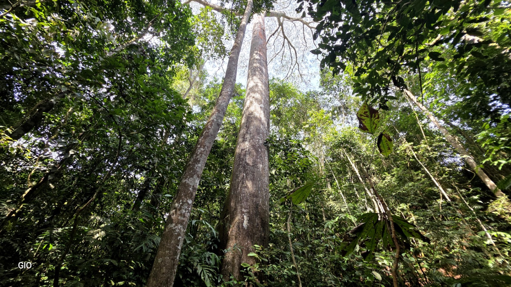 🌿 Nature, Privacy & Investment Opportunity in Costa Rica 🌿