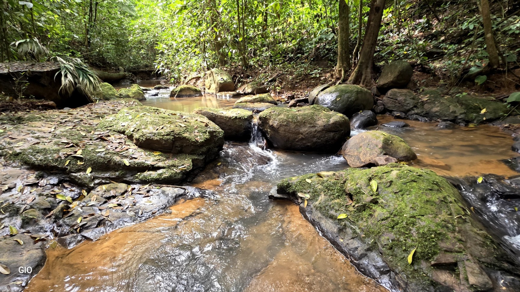 🌿 Nature, Privacy & Investment Opportunity in Costa Rica 🌿