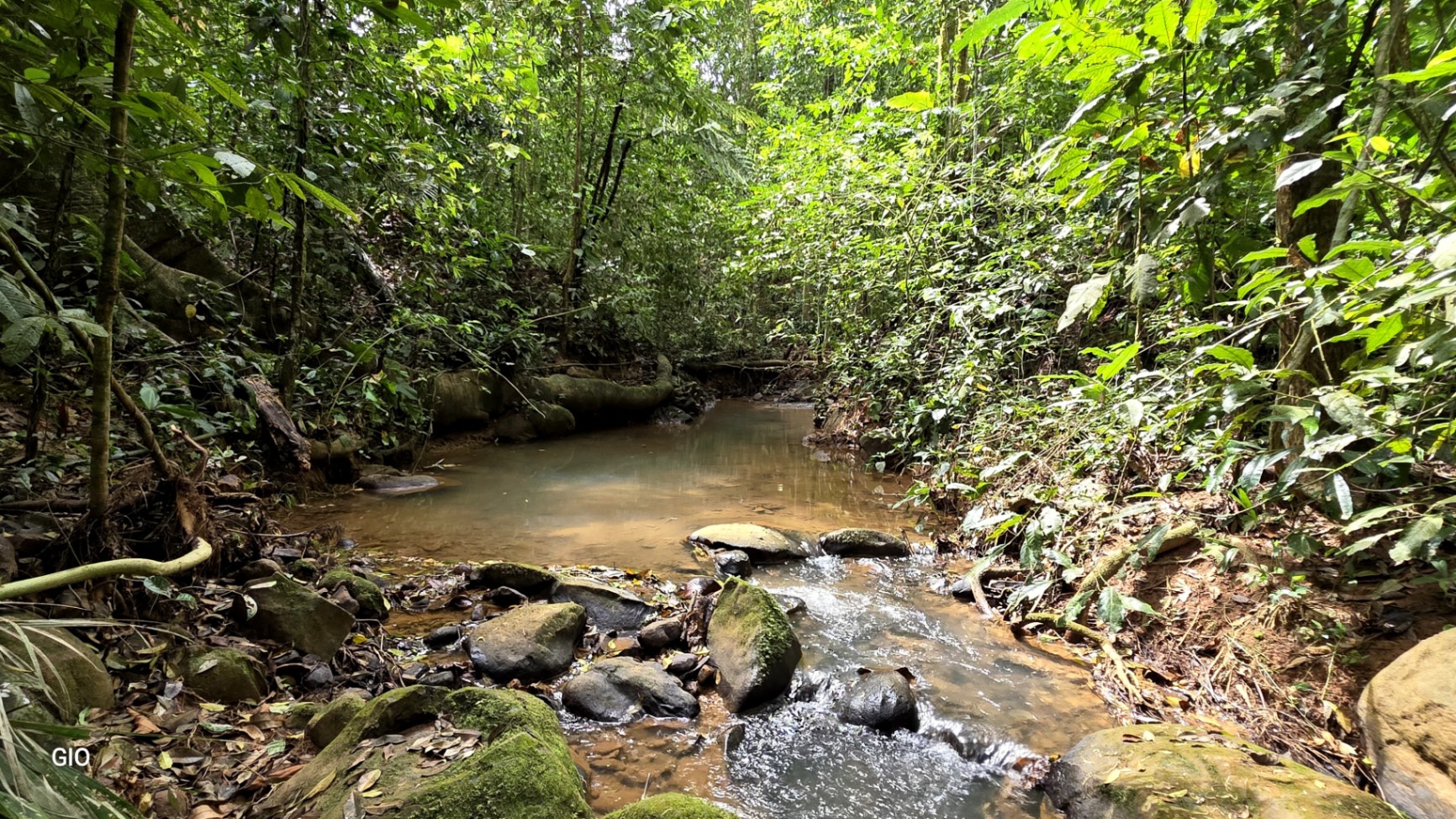 🌿 Nature, Privacy & Investment Opportunity in Costa Rica 🌿