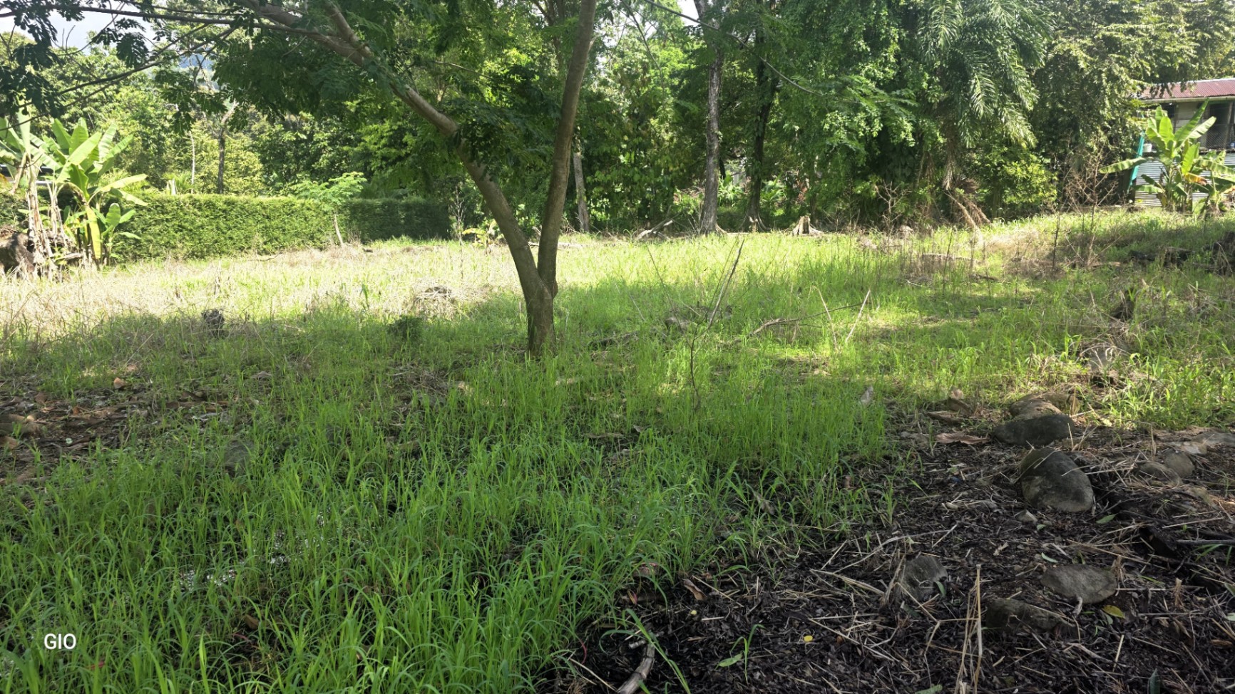 🌟 Unique Opportunity - Lot for Sale in Uvita de Osa! 🌟