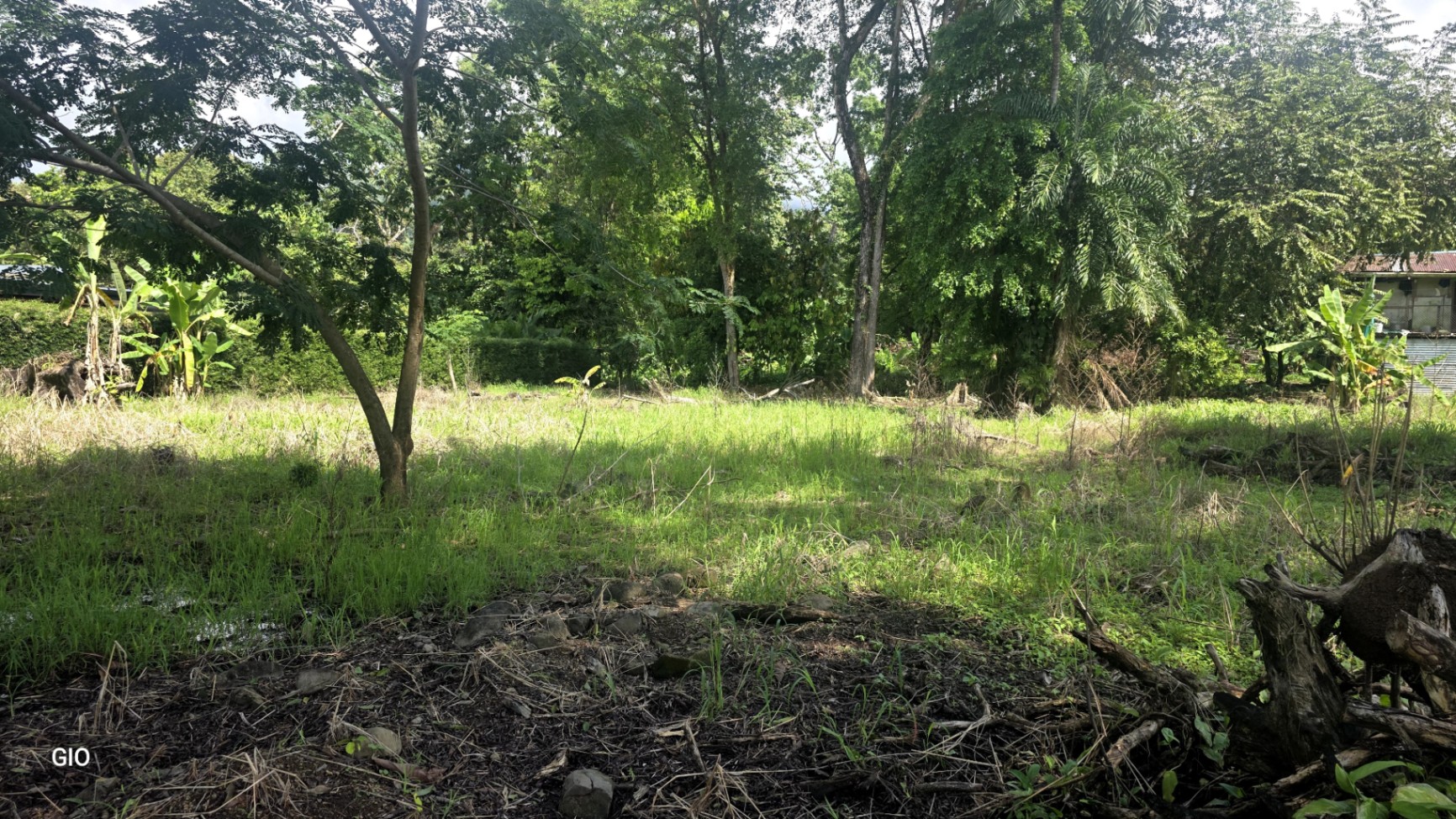 🌟 Unique Opportunity - Lot for Sale in Uvita de Osa! 🌟