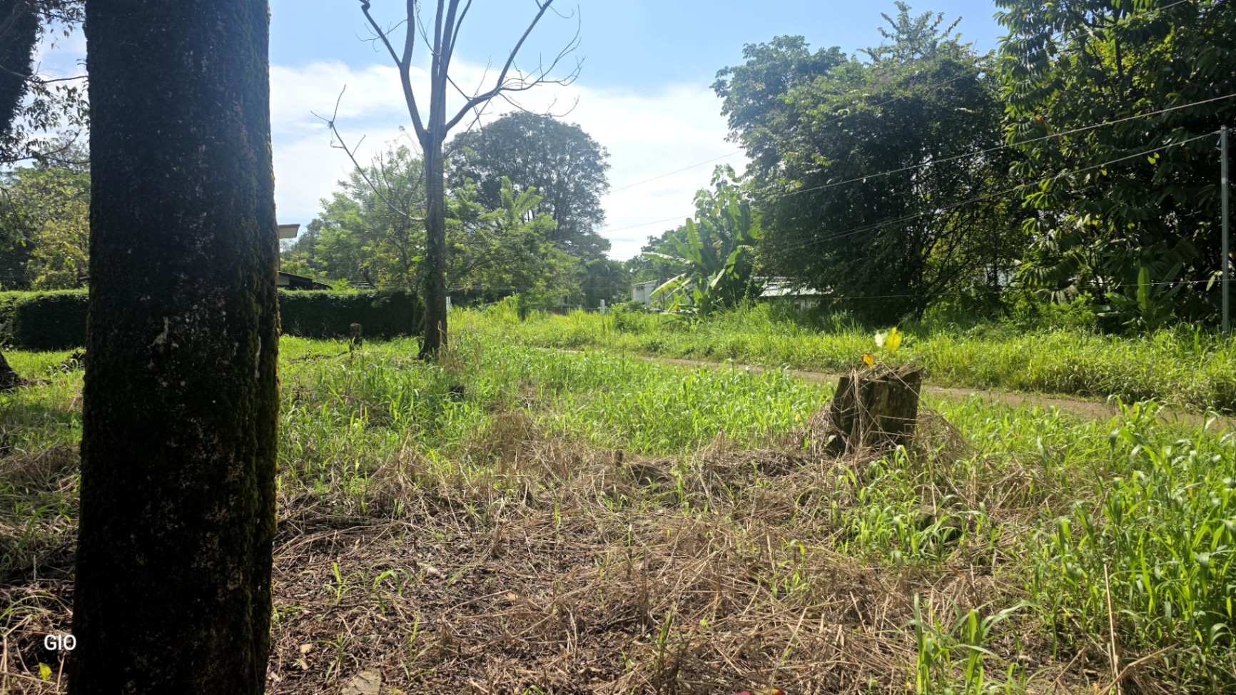 🌟 Unique Opportunity - Lot for Sale in Uvita de Osa! 🌟