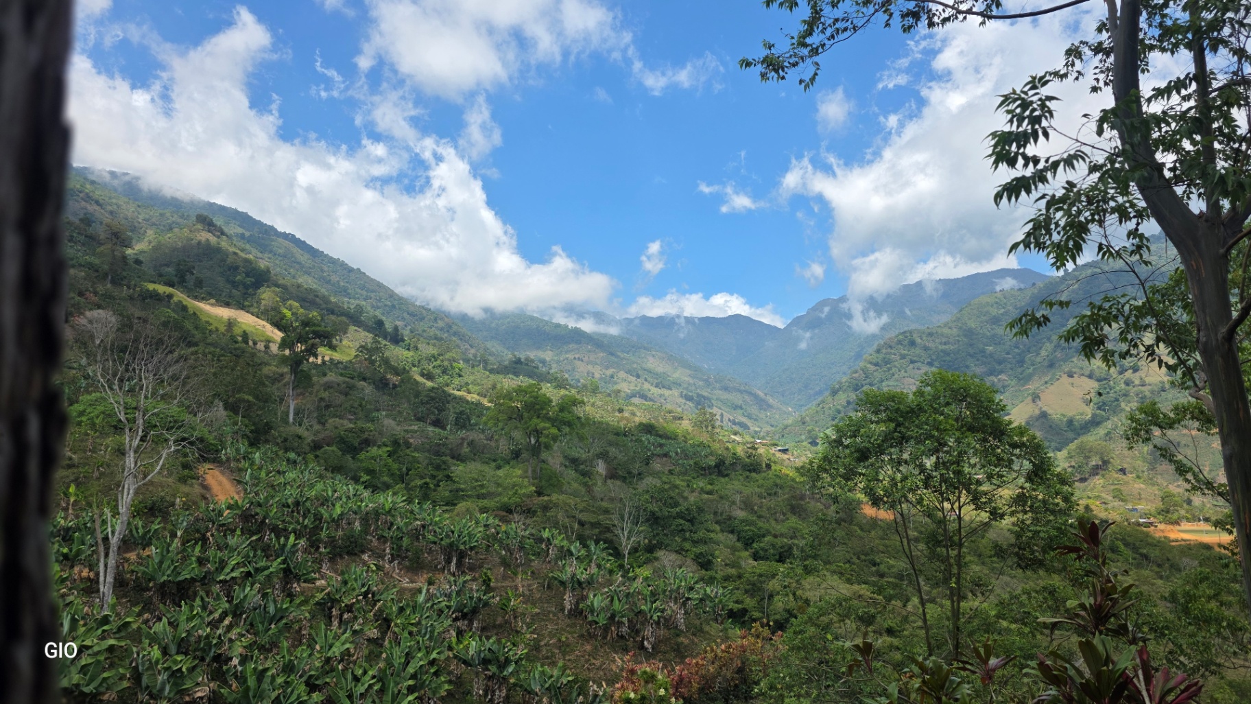 Chirripó’s Hidden Gem: A High-Altitude Coffee Sanctuary 🏔️☕✨