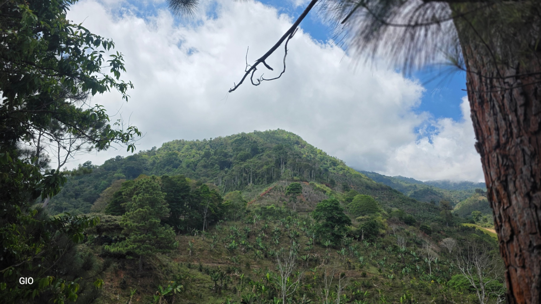 Chirripó’s Hidden Gem: A High-Altitude Coffee Sanctuary 🏔️☕✨
