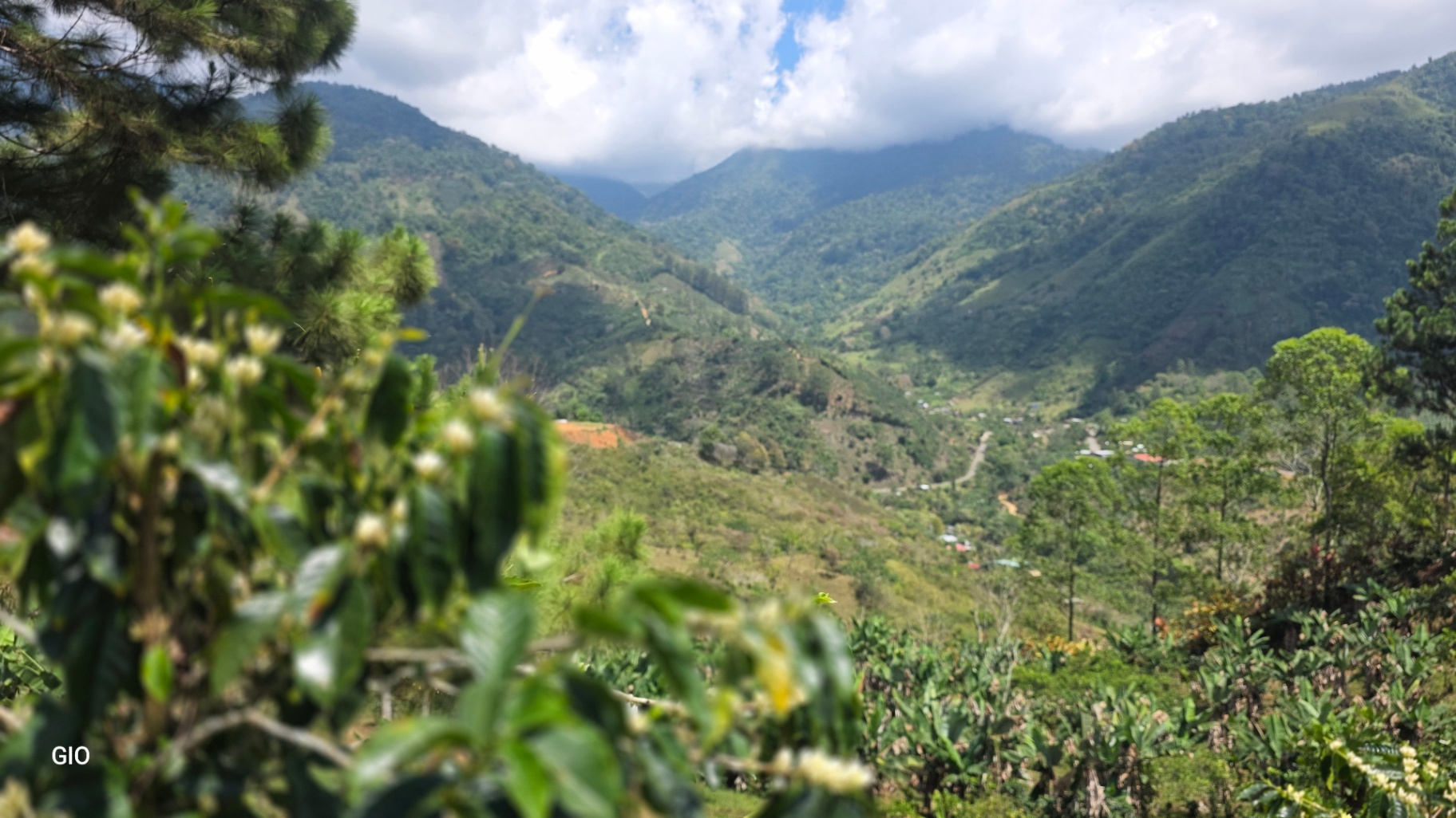 Chirripó’s Hidden Gem: A High-Altitude Coffee Sanctuary 🏔️☕✨