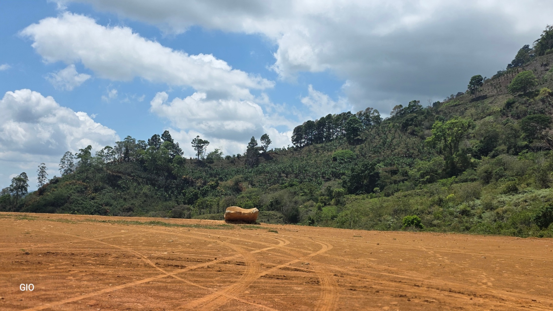 Chirripó’s Hidden Gem: A High-Altitude Coffee Sanctuary 🏔️☕✨