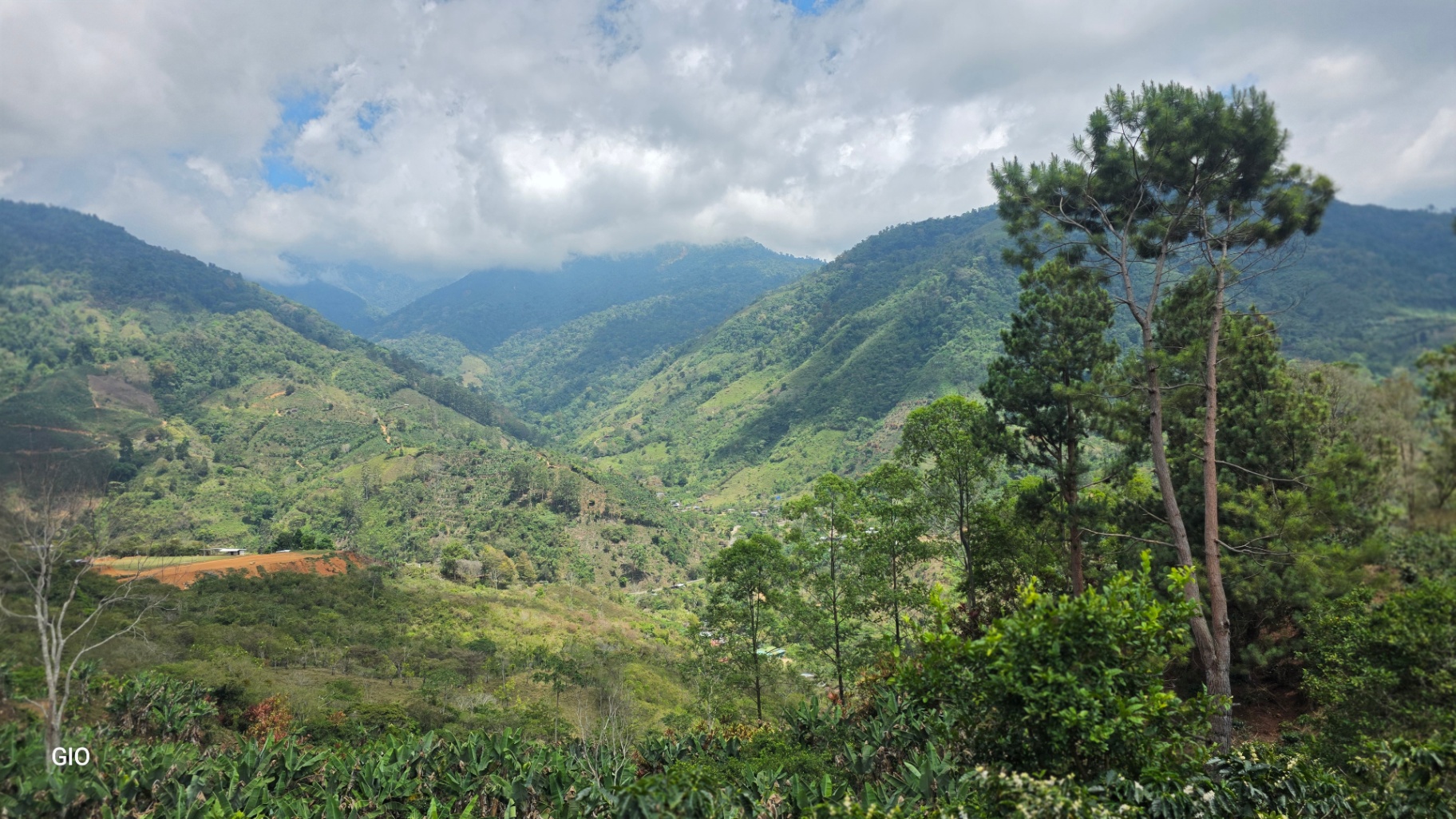 Chirripó’s Hidden Gem: A High-Altitude Coffee Sanctuary 🏔️☕✨
