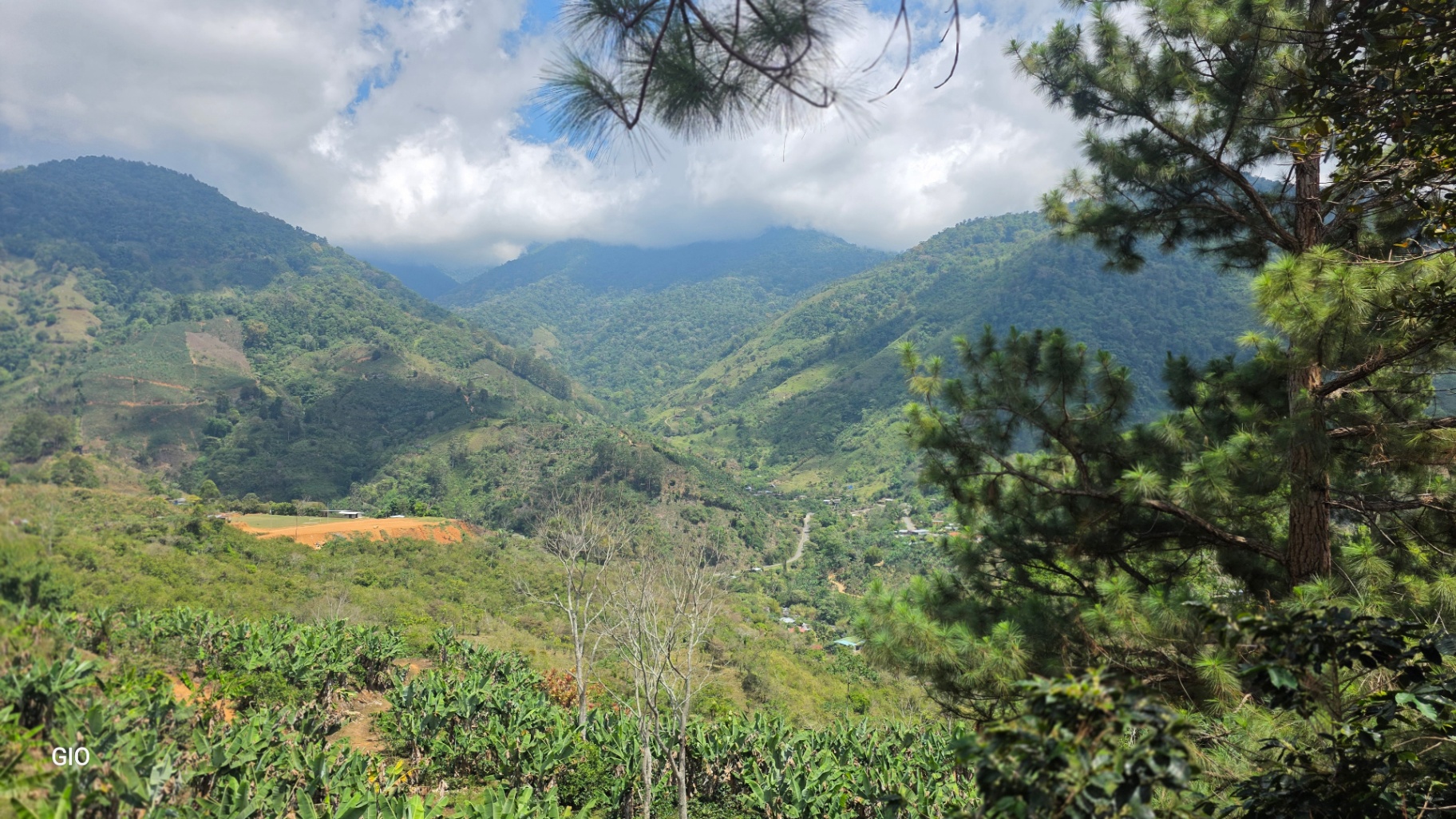 Chirripó’s Hidden Gem: A High-Altitude Coffee Sanctuary 🏔️☕✨