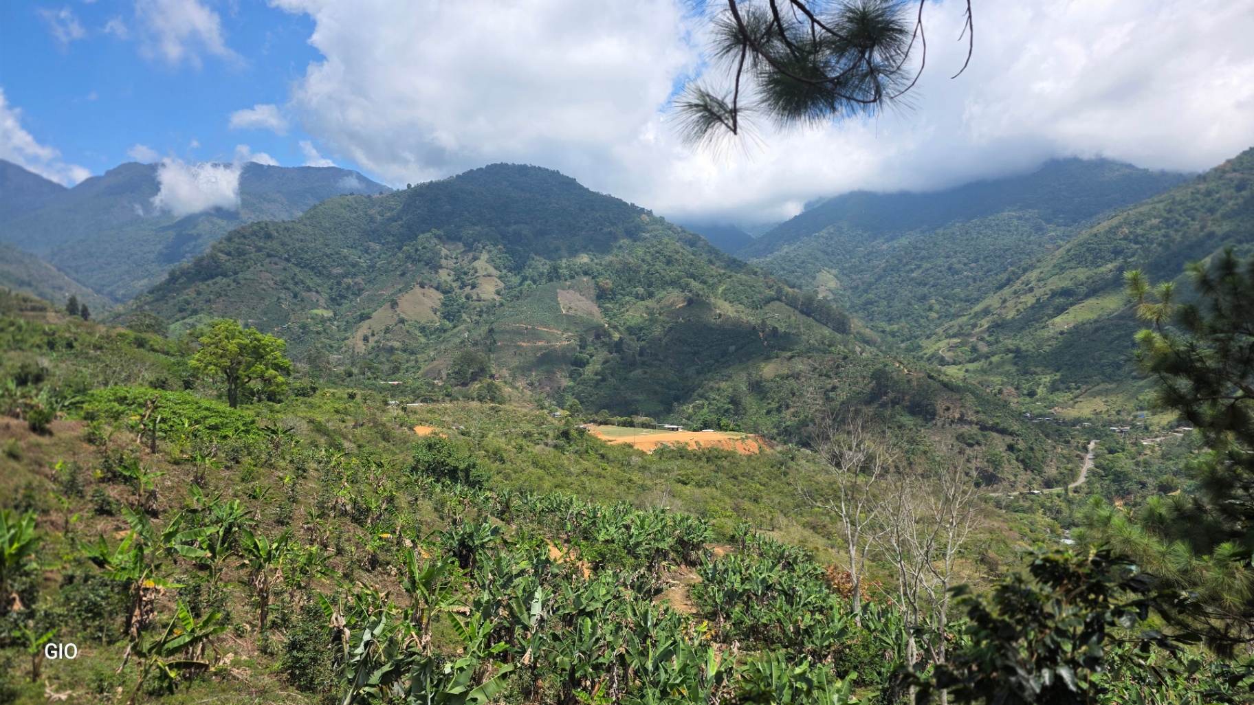 Chirripó’s Hidden Gem: A High-Altitude Coffee Sanctuary 🏔️☕✨