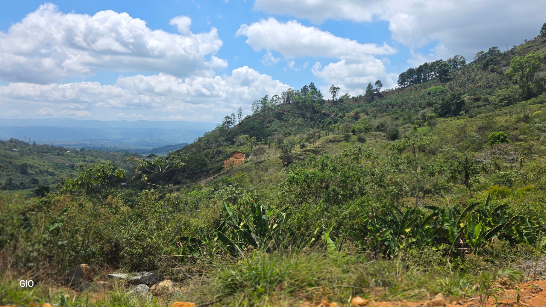 Chirripó’s Hidden Gem: A High-Altitude Coffee Sanctuary 🏔️☕✨