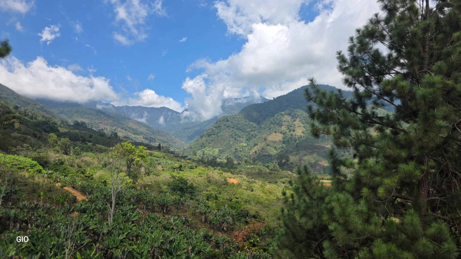 Chirripó’s Hidden Gem: A High-Altitude Coffee Sanctuary 🏔️☕✨