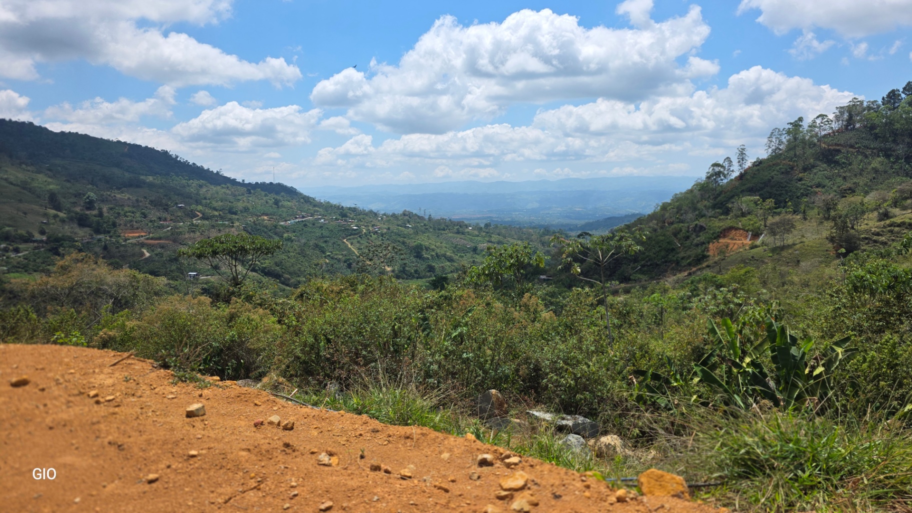 Chirripó’s Hidden Gem: A High-Altitude Coffee Sanctuary 🏔️☕✨