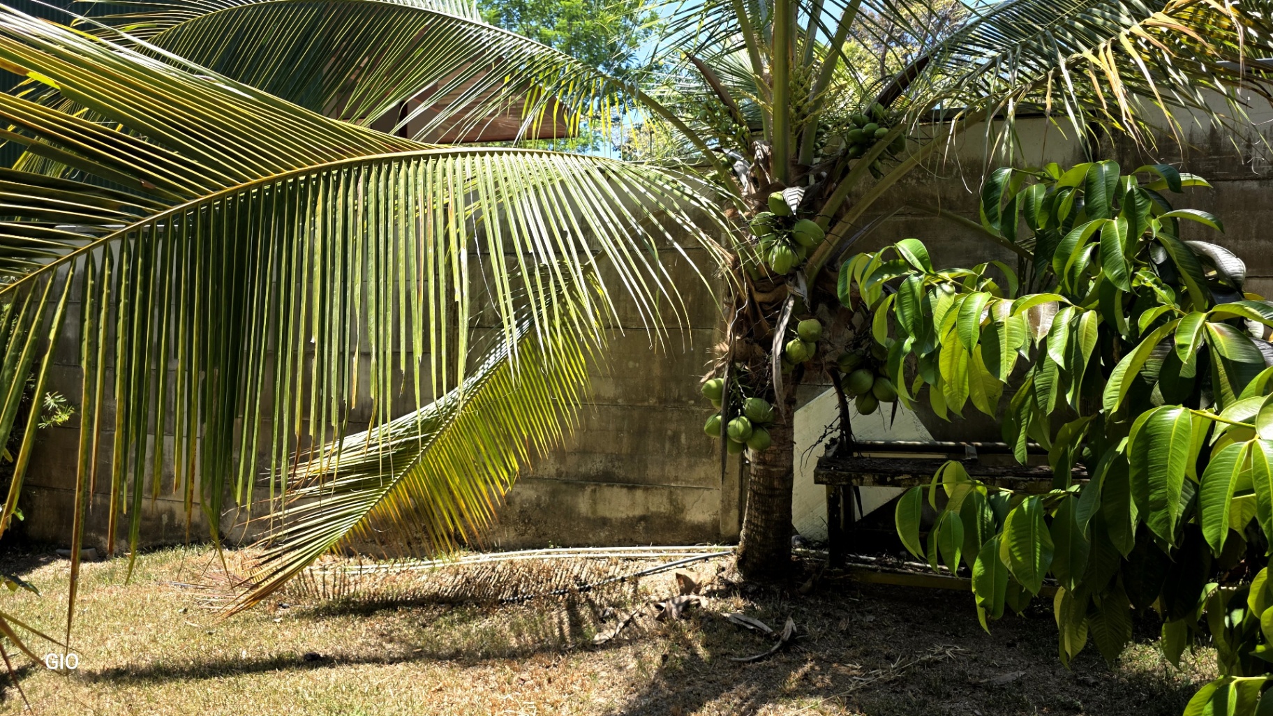 🌴 INCOME-PRODUCING VILLA HOTEL FOR SALE 🌊