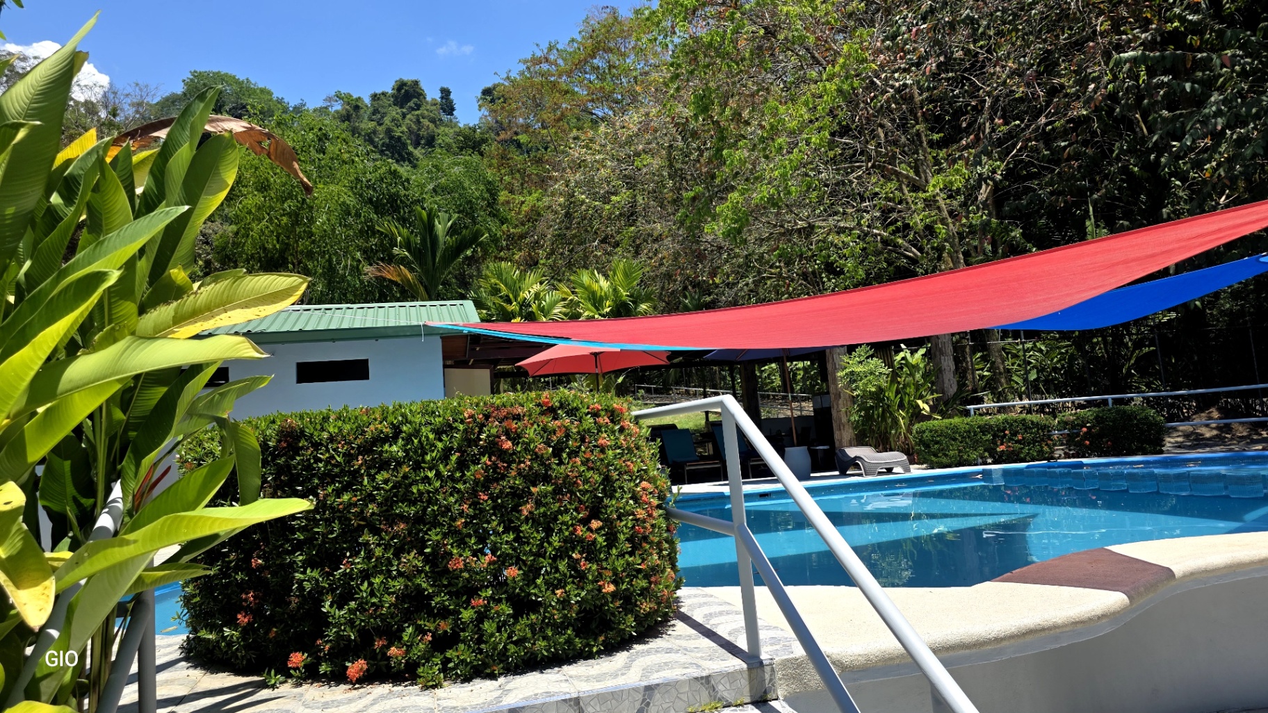 🌴 INCOME-PRODUCING VILLA HOTEL FOR SALE 🌊