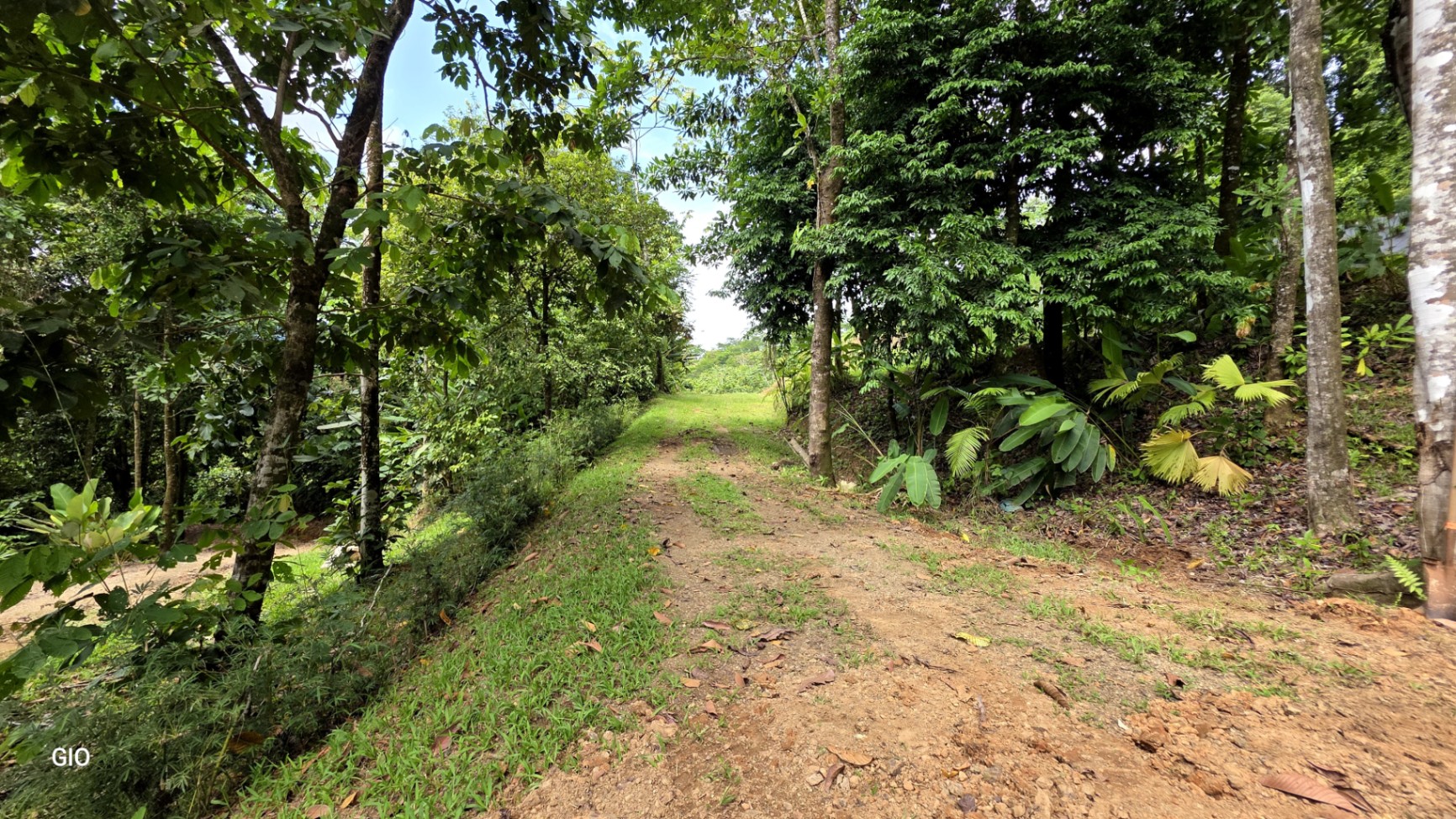 INCREDIBLE INVESTMENT GEM IN UVITA – DEVELOP YOUR DREAM PROJECT 🌊