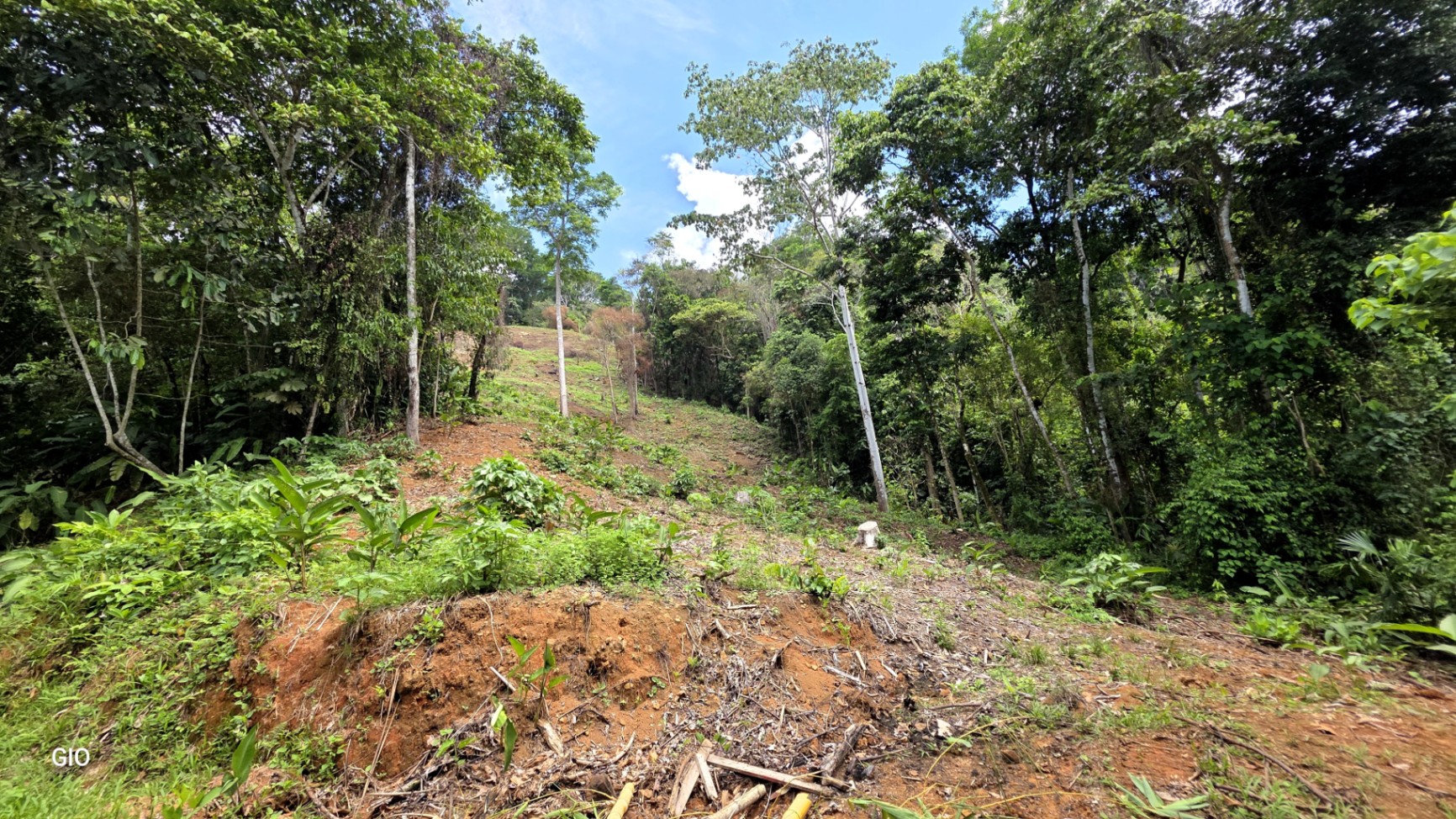 INCREDIBLE INVESTMENT GEM IN UVITA – DEVELOP YOUR DREAM PROJECT 🌊