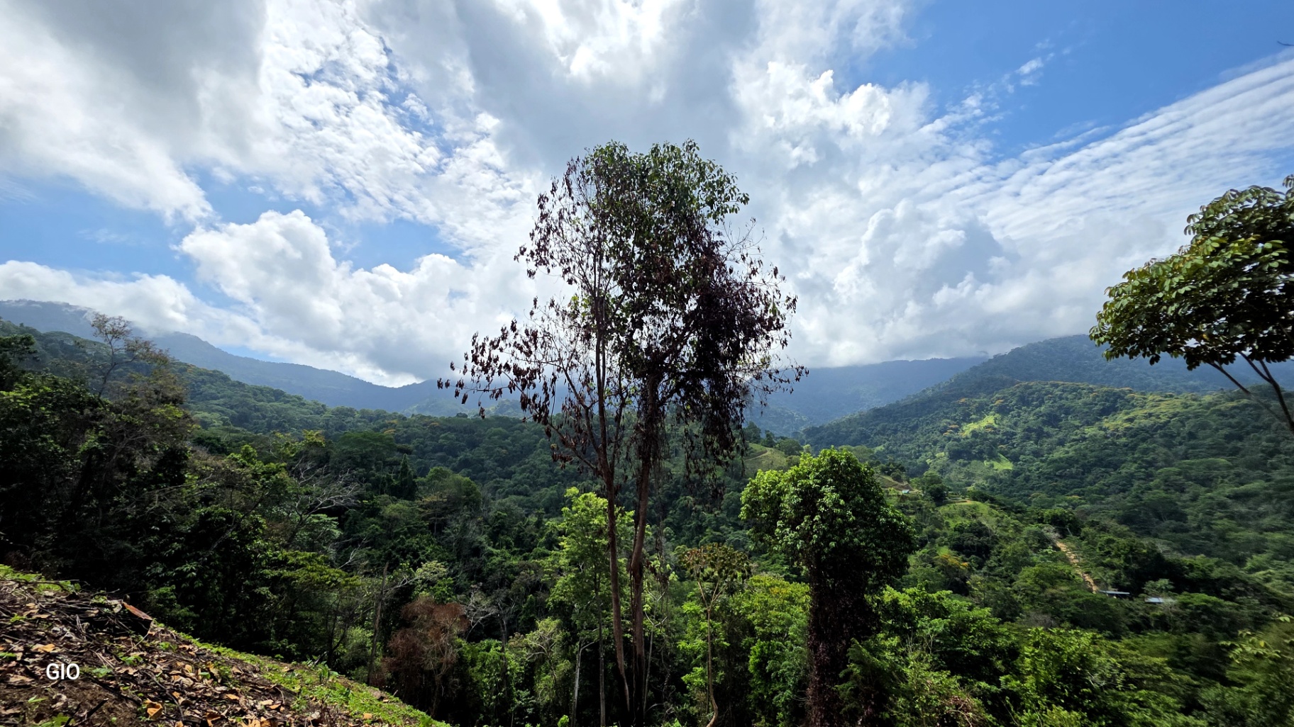 INCREDIBLE INVESTMENT GEM IN UVITA – DEVELOP YOUR DREAM PROJECT 🌊