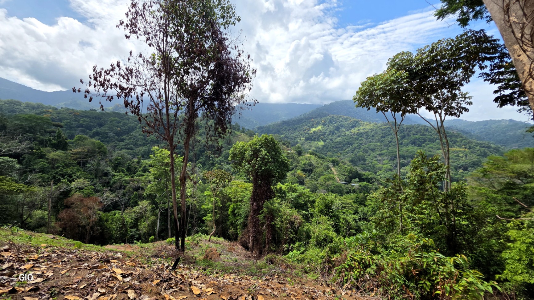 INCREDIBLE INVESTMENT GEM IN UVITA – DEVELOP YOUR DREAM PROJECT 🌊
