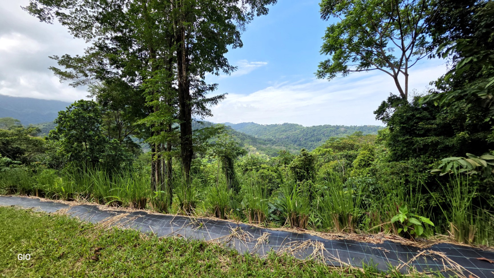 INCREDIBLE INVESTMENT GEM IN UVITA – DEVELOP YOUR DREAM PROJECT 🌊