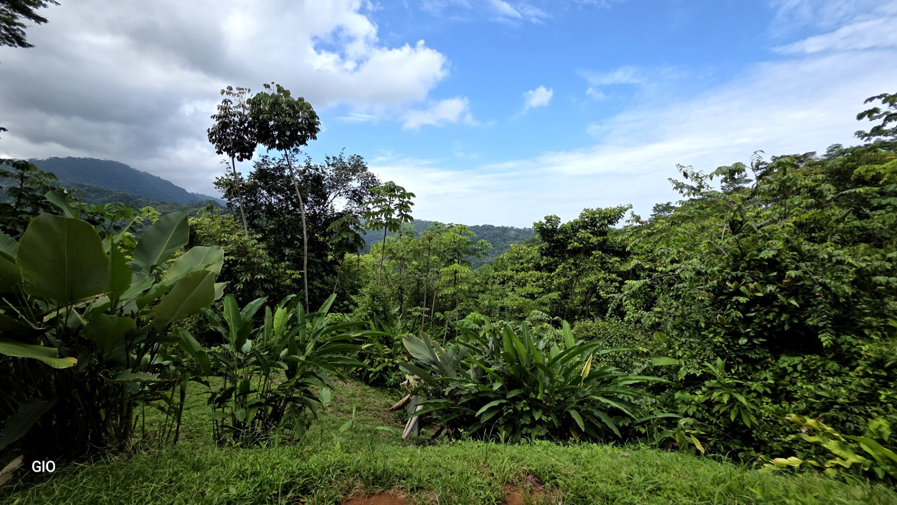 INCREDIBLE INVESTMENT GEM IN UVITA – DEVELOP YOUR DREAM PROJECT 🌊