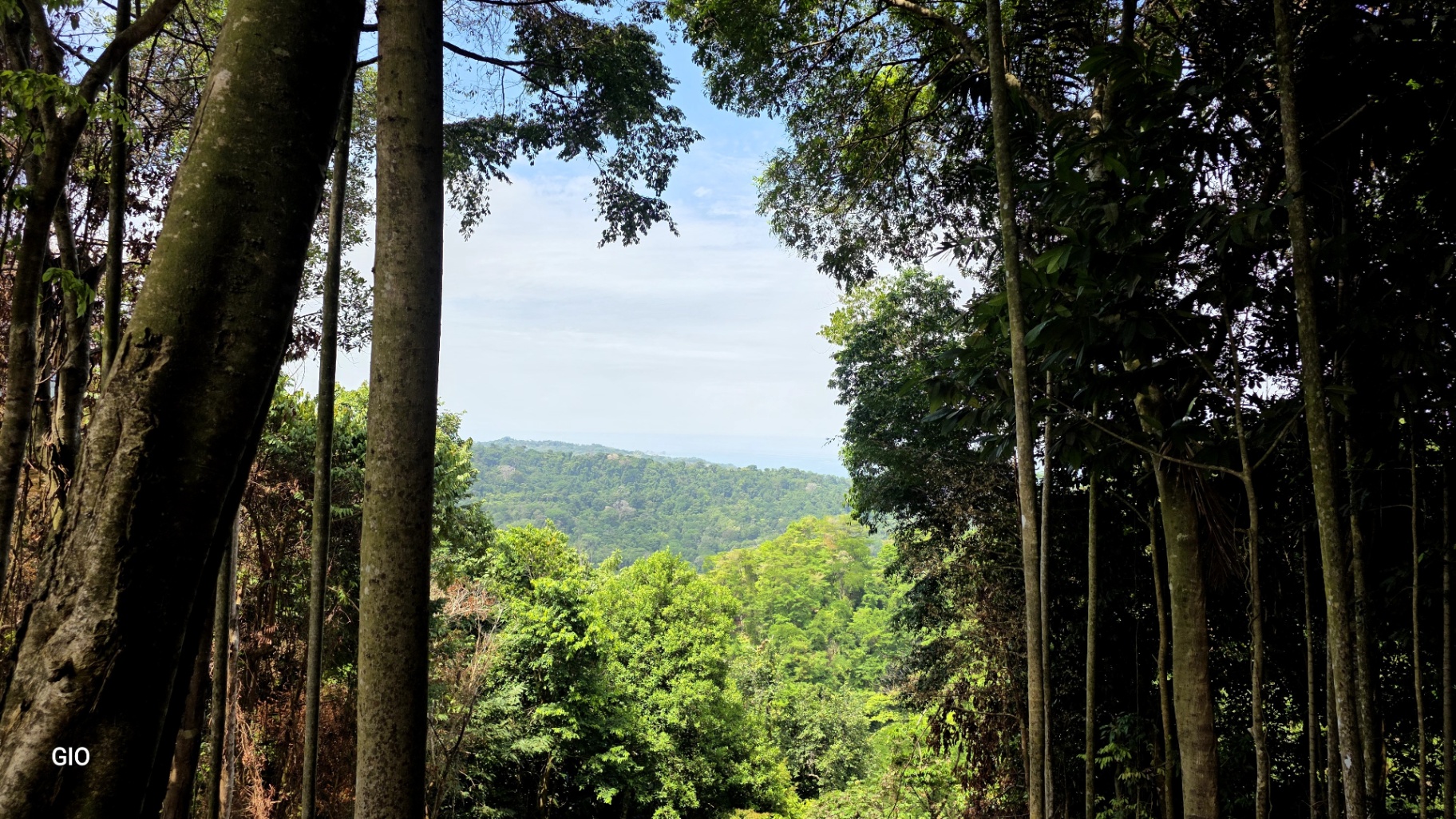 INCREDIBLE INVESTMENT GEM IN UVITA – DEVELOP YOUR DREAM PROJECT 🌊
