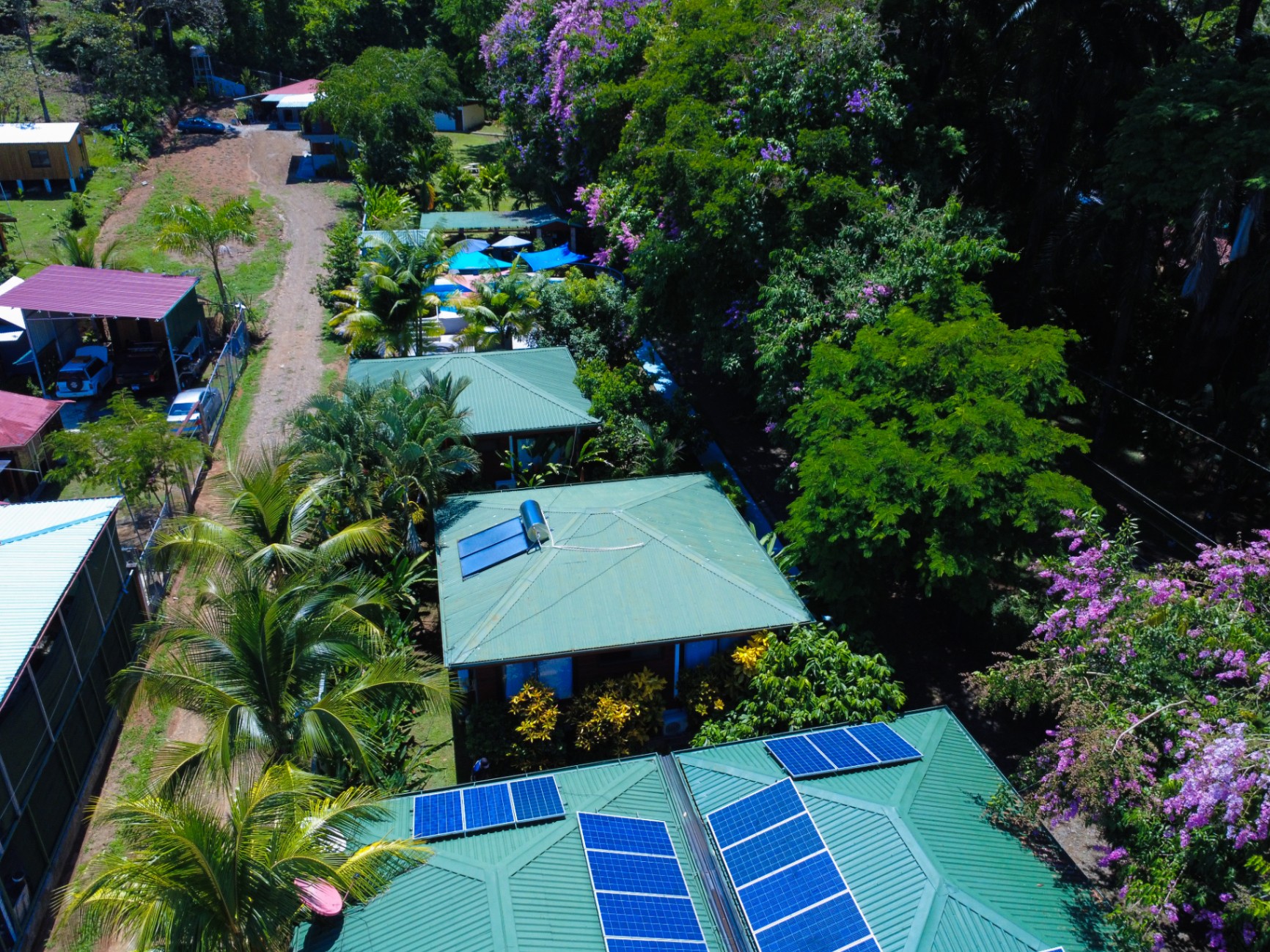 🌴 INCOME-PRODUCING VILLA HOTEL FOR SALE 🌊
