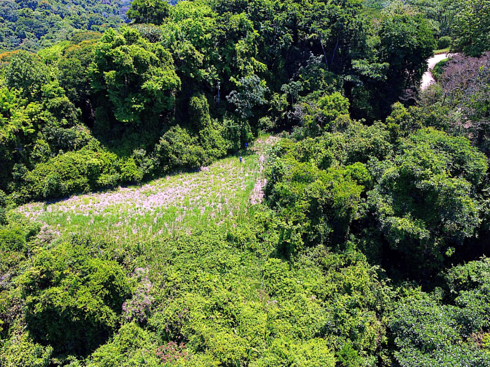 Prime 4.4-Acre Property Near the Pacific Coast – Endless Potential Awaits