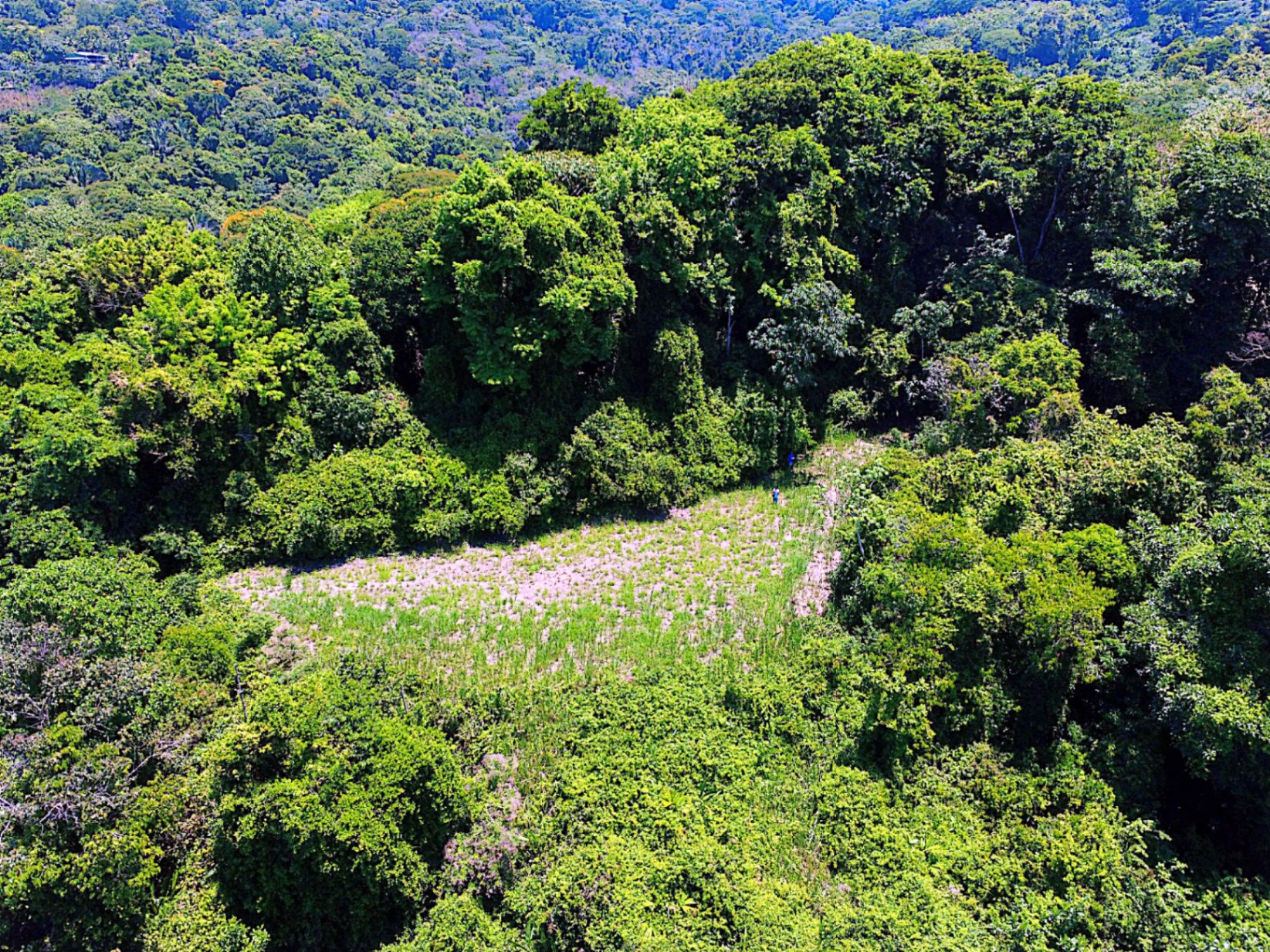 Prime 4.4-Acre Property Near the Pacific Coast – Endless Potential Awaits