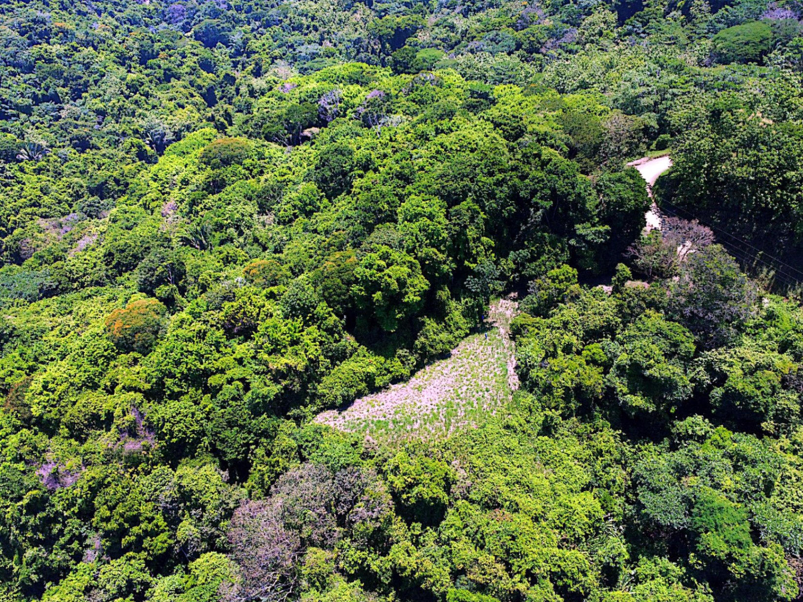 Prime 4.4-Acre Property Near the Pacific Coast – Endless Potential Awaits