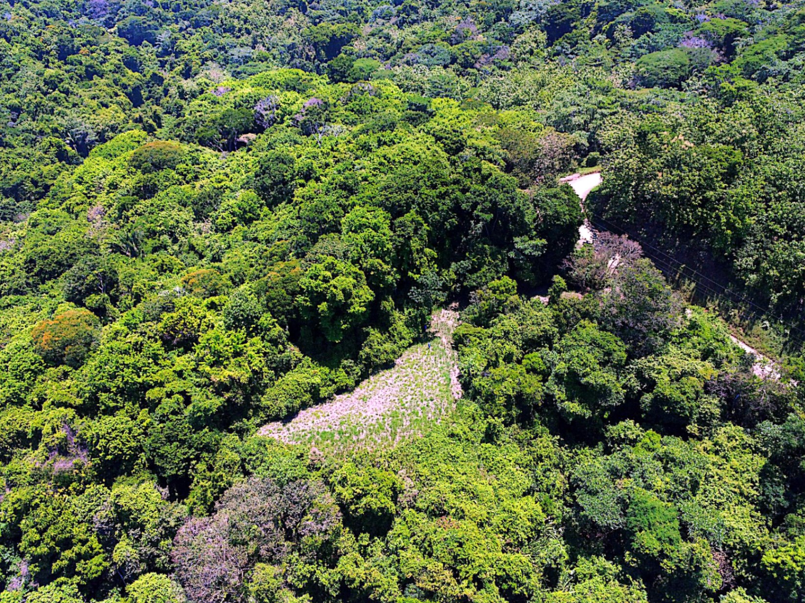 Prime 4.4-Acre Property Near the Pacific Coast – Endless Potential Awaits