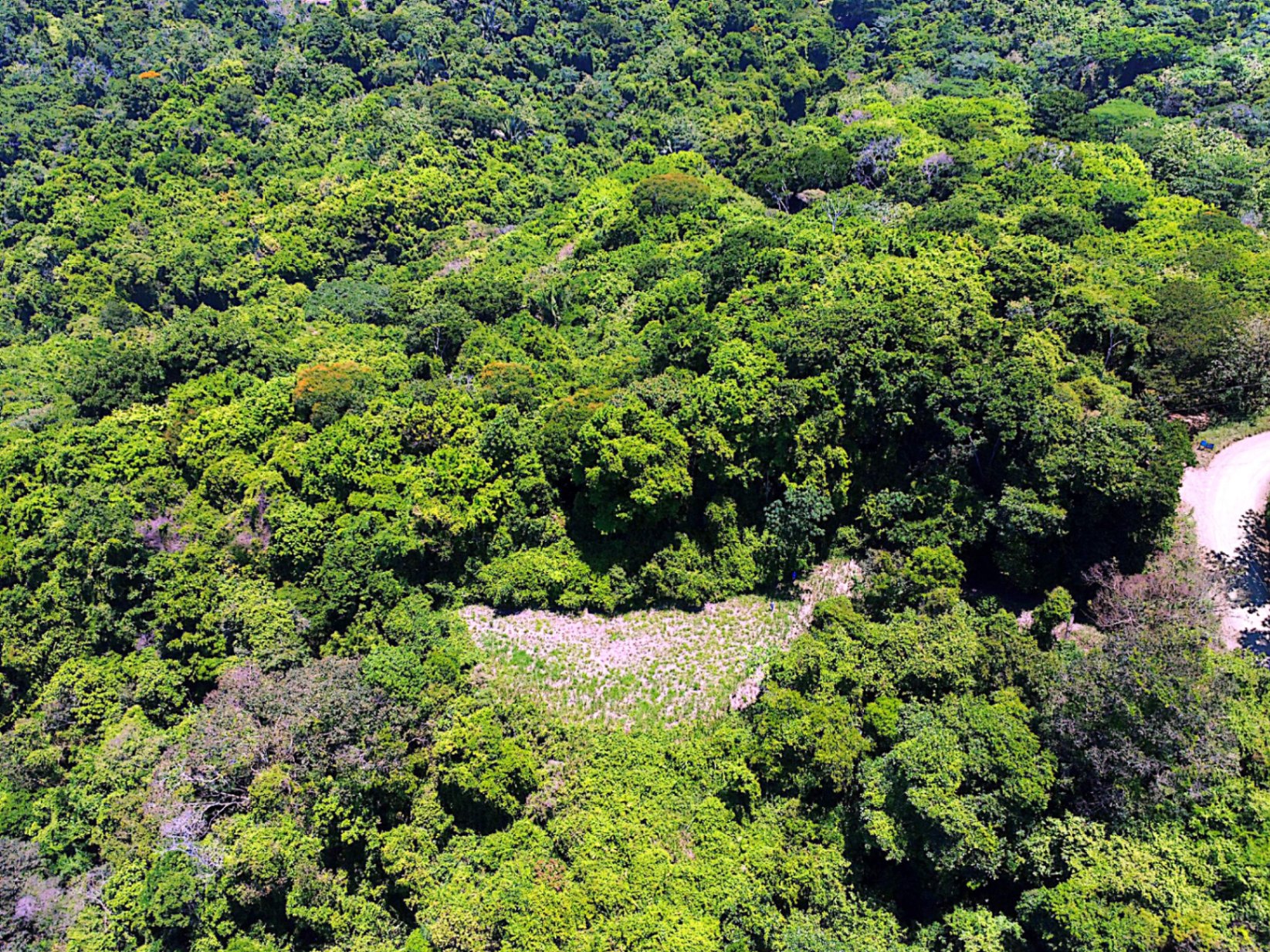 Prime 4.4-Acre Property Near the Pacific Coast – Endless Potential Awaits