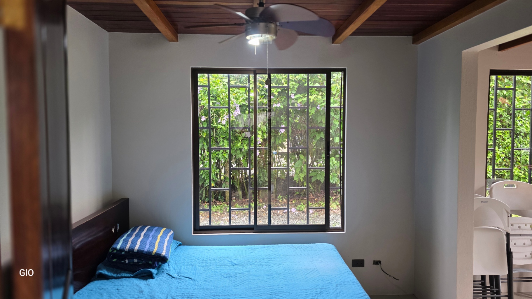 LUSH TROPICAL OASIS FOR SALE IN OJOCHAL – YOUR PRIVATE PARADISE AWAITS! 🌴✨