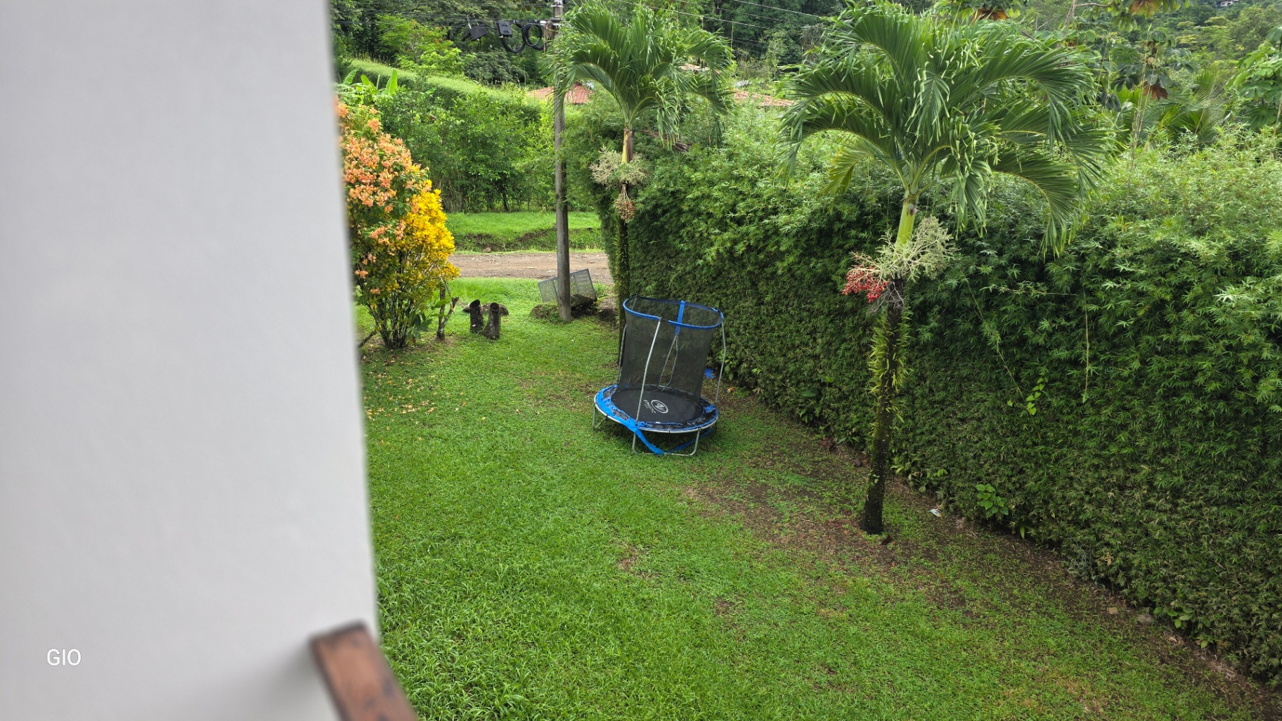 LUSH TROPICAL OASIS FOR SALE IN OJOCHAL – YOUR PRIVATE PARADISE AWAITS! 🌴✨