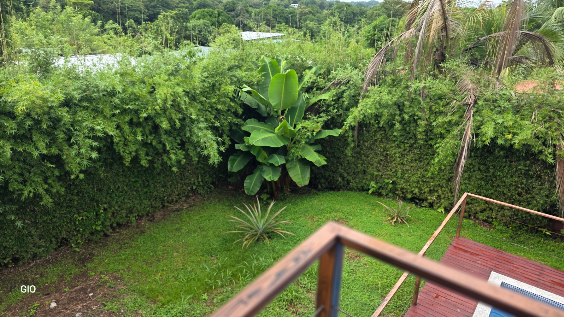 LUSH TROPICAL OASIS FOR SALE IN OJOCHAL – YOUR PRIVATE PARADISE AWAITS! 🌴✨