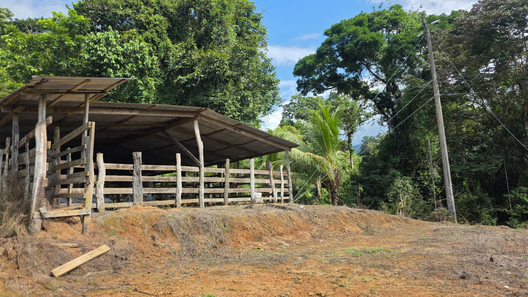 Pure Life Paradise: 128-Acre Eco-Farm with Private Waterfall & River 🌿💧