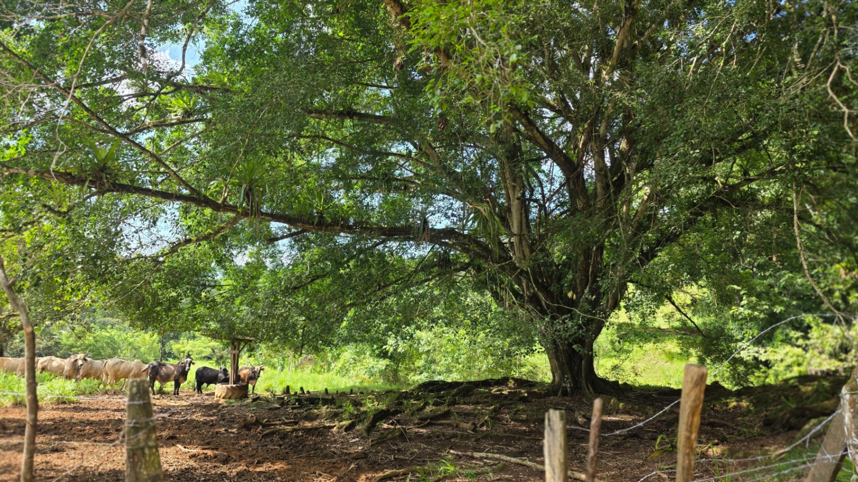 Pure Life Paradise: 128-Acre Eco-Farm with Private Waterfall & River 🌿💧