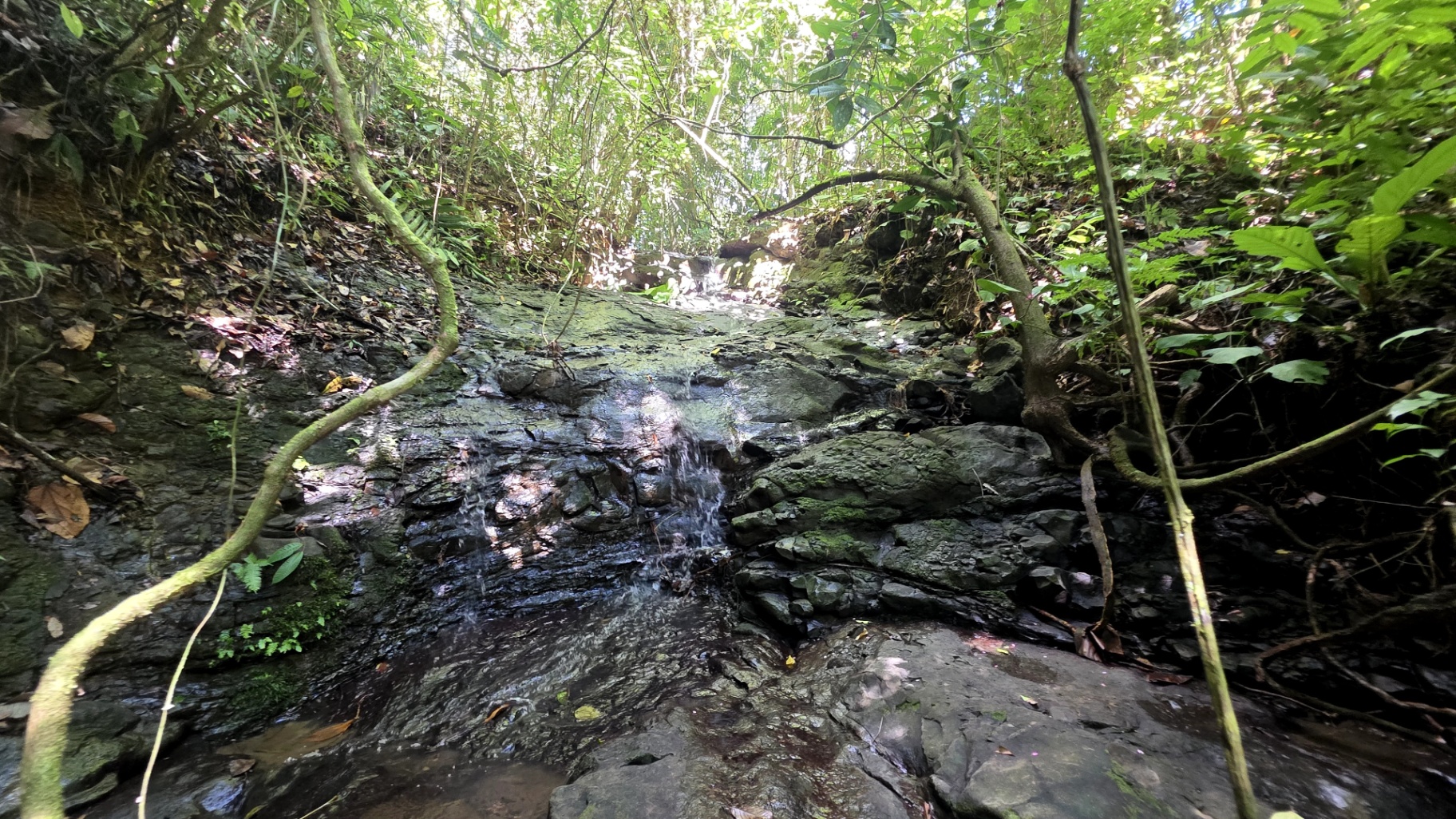 Pure Life Paradise: 128-Acre Eco-Farm with Private Waterfall & River 🌿💧