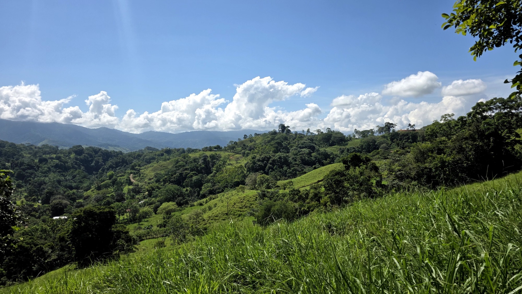 Pure Life Paradise: 128-Acre Eco-Farm with Private Waterfall & River 🌿💧